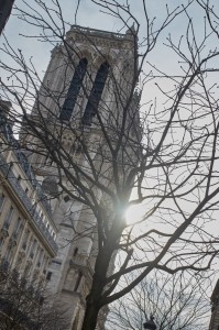 paris 2015 bolz web 089 med hr  