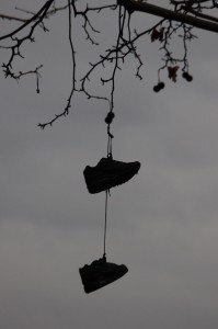 paris 2015 bolz web 105 med hr  